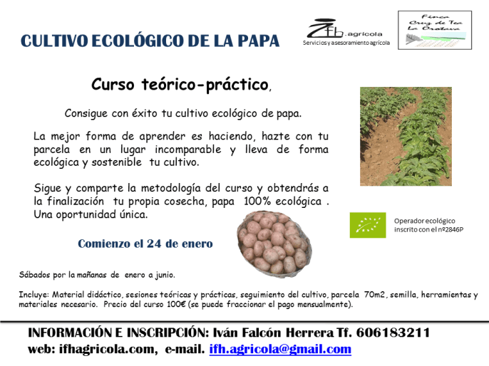 cartel curso papa